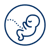 icons8 embryo 100