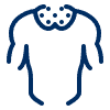 icons8 trapezius 100