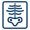 icons8 x ray 100