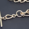 Antique gold albert chain