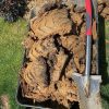 Evolution Pro Cut Stainless Se Spade Image