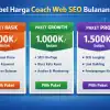 investasi Coach Web Seo