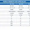 Layanan Website SEO organik