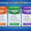 Coaching Web Seo