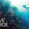 Dive Guide C- Crad