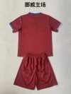 Adults kits 24/25 Norway home - Image 2