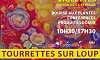 affiche journée des plantes
