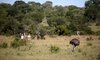 MalaMala Game Reserve Images 46 2