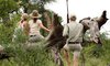 MalaMala Game Reserve Images 52 1