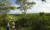 MalaMala Game Reserve Images 54