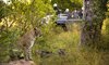 Narina Lodge Lion Sands Images 18
