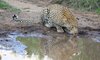 Umkumbe Safari Lodge 21