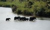 Lion Sands Tinga Lodge Images 2