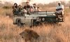 manyeleti big five game drive