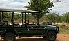chisomo karongwe images kruger 39