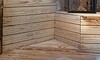 thornybush game lodge images 10