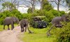 kruger game drive safari