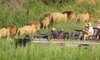 lion sands narina lodge kruger national park 39