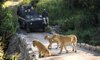 lion sands river lodge images 2021 46
