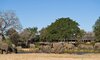 sabi sabi bush lodge sabi sands bookings 29