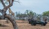 sabi sabi bush lodge sabi sands bookings 53