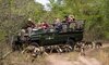sabi sabi little bush camp sabi sands lodges reservations 32