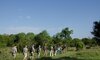 sabi sabi little bush camp sabi sands lodges reservations 35