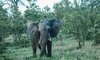 sabie river bush lodge kruger national park 35