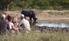 Guided Bush Walk Safari Kruger National Park