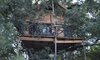 Marcs Treehouse Lodge 1