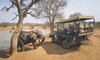 jabulani safari lodge camp kruger kapama images 39