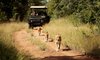 jabulani safari lodge camp kruger kapama images 91