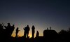 malamala camp images sabi sands lodges 28
