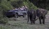 malamala camp images sabi sands lodges 65