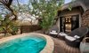 andBeyond Phinda Mountain Lodge Kwazulu natal phinda game reserve 47