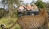 Safari Game Drive Kruger Park leopard