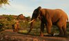 Victoria Falls Safari Lodge Zimbabwe 12