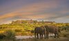 Victoria Falls Safari Lodge Zimbabwe 15