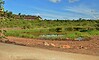 Victoria Falls Safari Lodge Zimbabwe 9