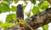 langa langa safari camp kruger national park tydon 1
