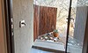 susage tree safari camp balule kruger sabi sands lodges reservations (18)