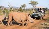 RHINO ND GAME VEHICLE