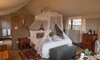 Monkey Thorn Superior Suite