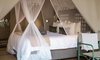 Standard Tent