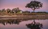The Safari Sundowner Experience
