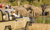 Arathusa Game Drives ()