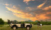 Ulusaba New Images ()