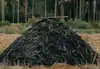 Carbon Sequestration