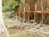 new-dam-under-construction-img423