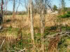 house-on-brock-farm-taken-from-cemetery-img308